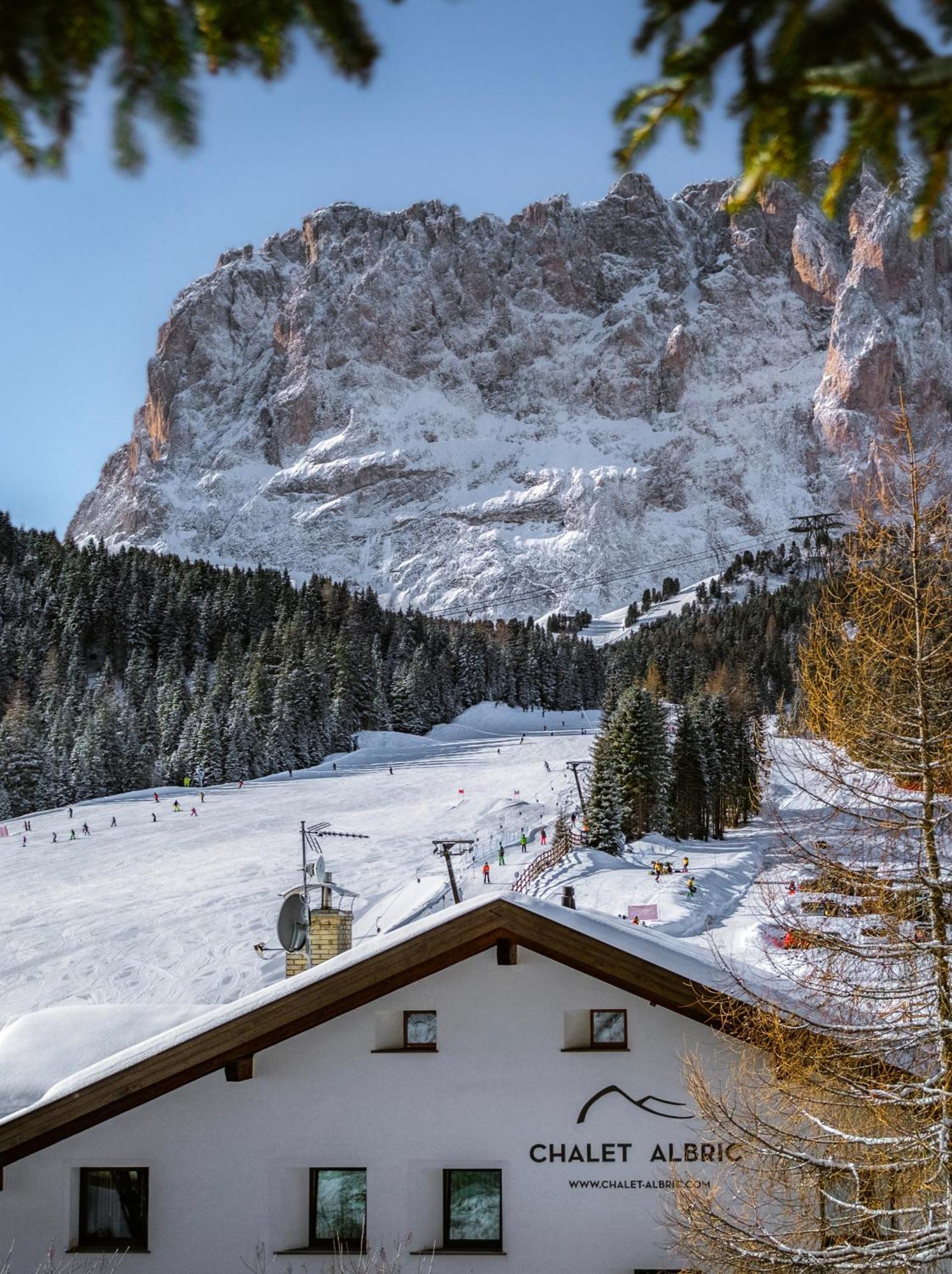 Chalet Albric Sëlva di Val Gardena Eksteriør billede