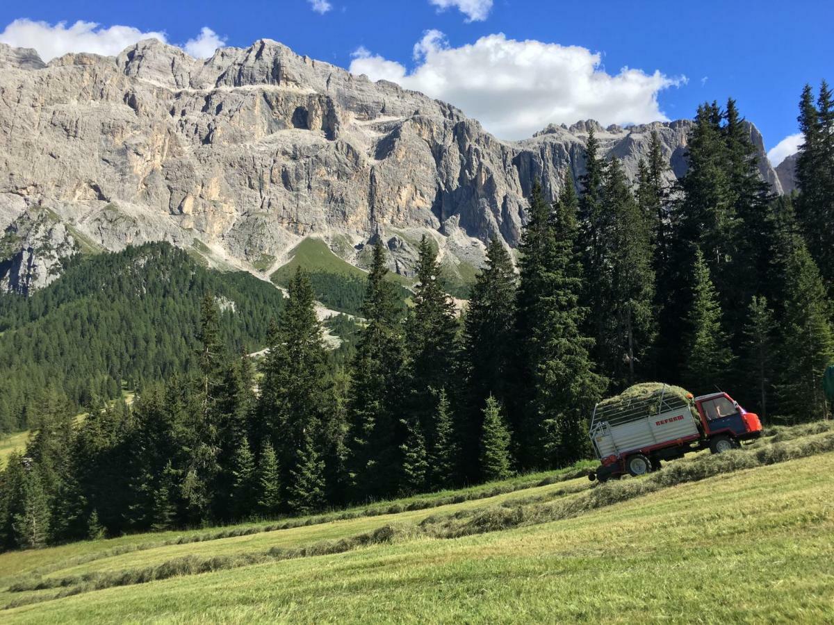 Chalet Albric Sëlva di Val Gardena Eksteriør billede